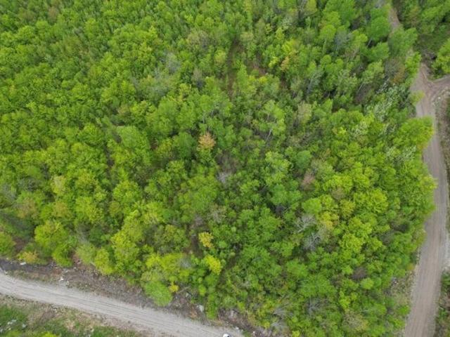 Land for sale in Kingfield, Maine