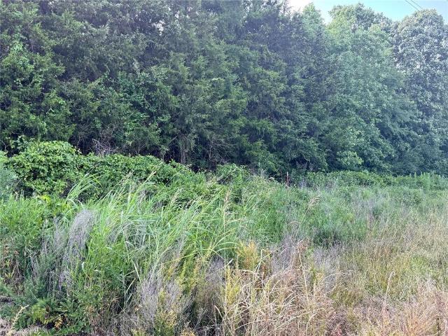Land for sale in Hugo