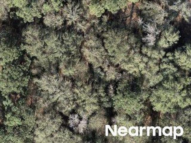 Land for sale in Walker, Texas