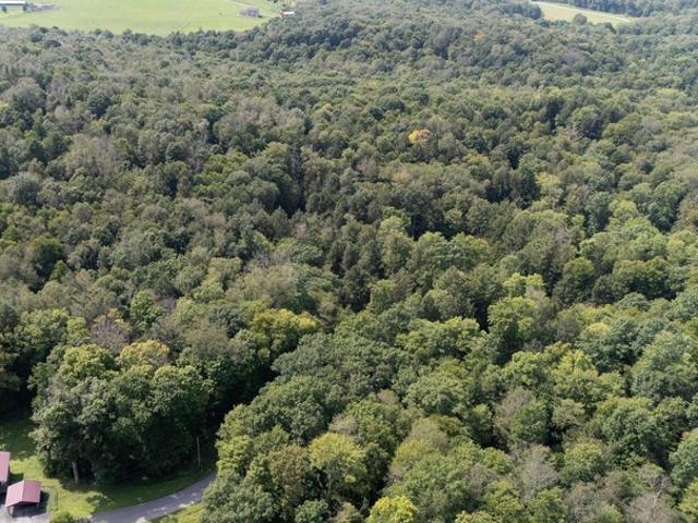 Land for sale in Curwensville, Clearfield County
