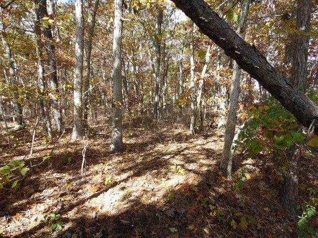 Land for sale in Ewan, New Jersey