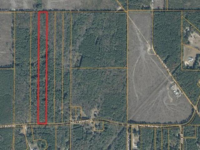 Land for sale in Pelahatchie, Mississippi