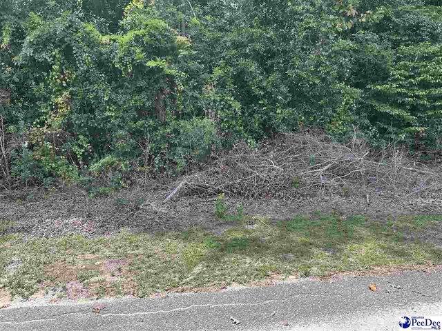 Land for sale in Darlington, South Carolina