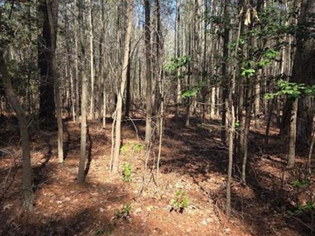Land for sale in Onancock, Accomack County
