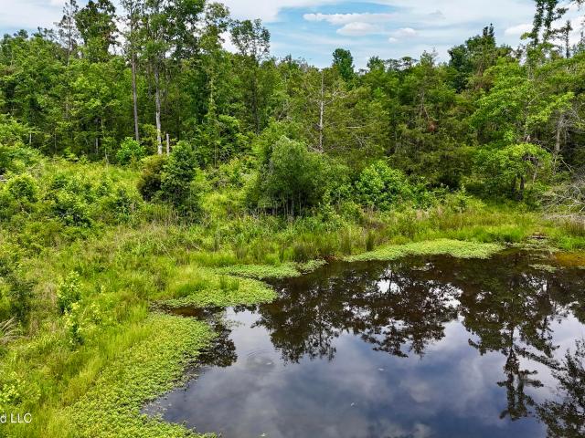 Land for sale in Cruger, Mississippi