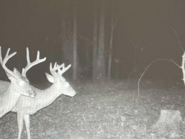 Land for sale in Cruger, Mississippi