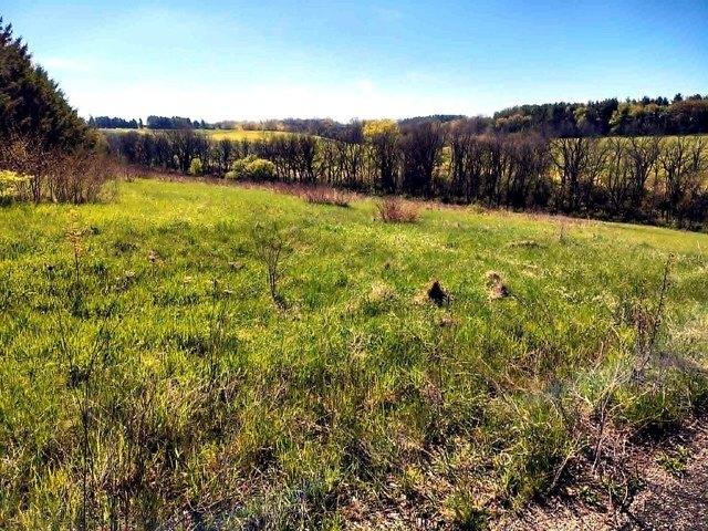 Land for sale in Belleville, Wisconsin