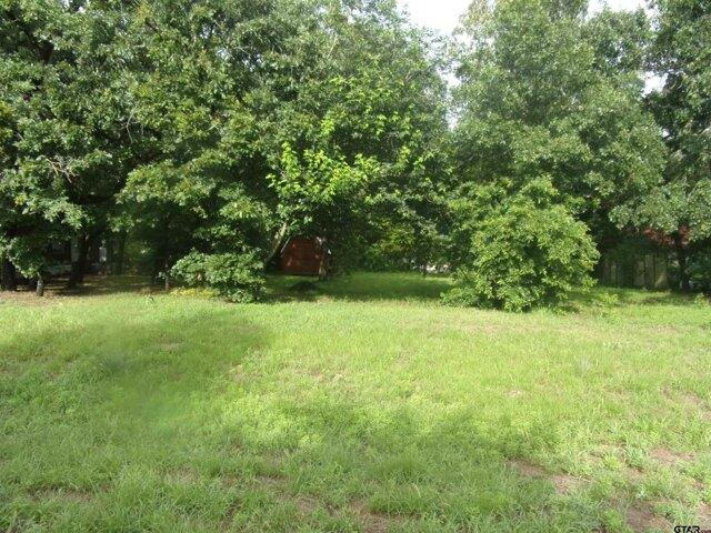 Land for sale in Murchison, Texas