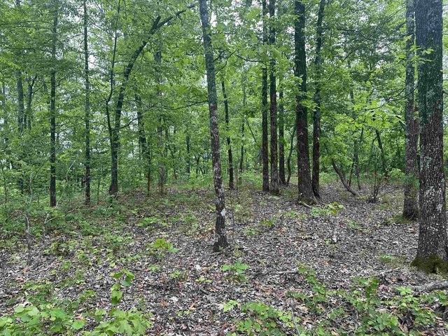 Land for sale in Ark