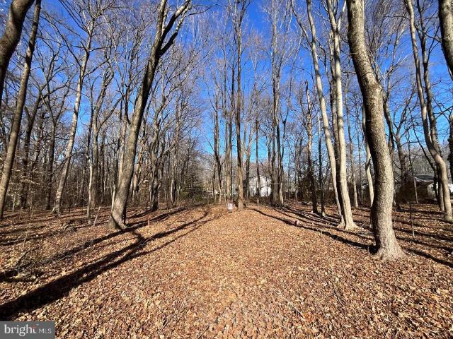 Land for sale in Dundalk, Maryland
