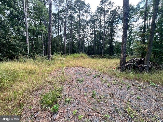 Land for sale in Laurel, Sussex County
