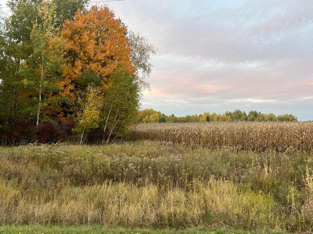 Land for sale in Pine City, Pine County
