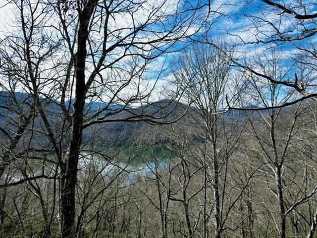 Land for sale in North Carolina