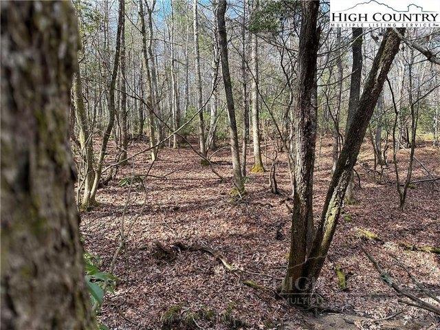 Land for sale in Alleghany, North Carolina