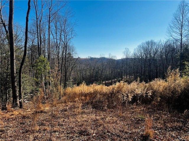 Land for sale in Mount Airy, North Carolina