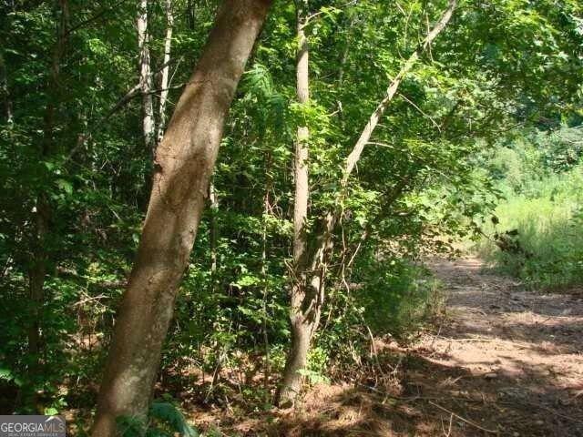 Land for sale in Marietta