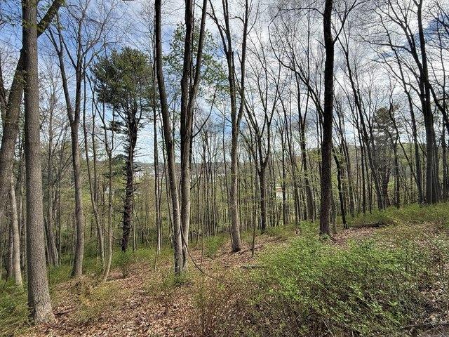 Land for sale in Virginia