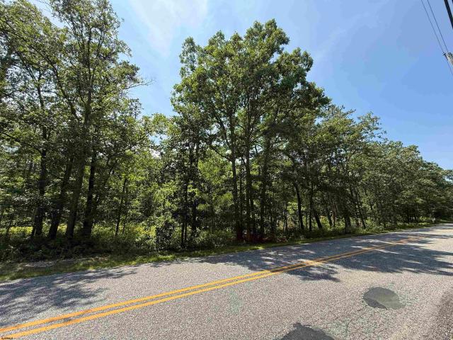 Land for sale in Mizpah, New Jersey