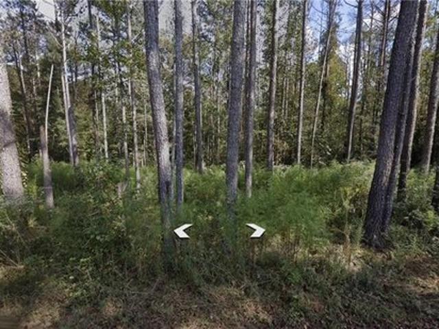 Land for sale in Bowdon, Georgia