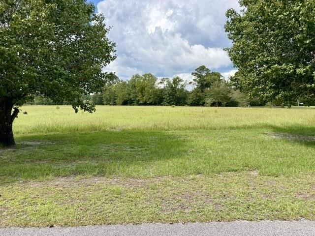 Land for sale in Loris, South Carolina