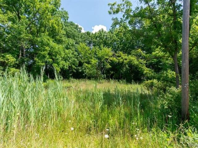 Land for sale in Romulus