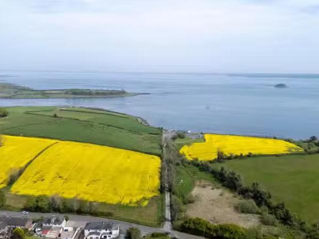 House for sale in Galway, The Municipal District of Adare — Rathkeale