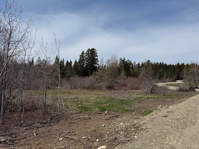 Land for sale in Whiting, Maine