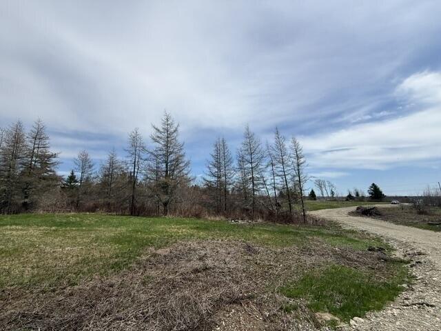 Land for sale in Whiting, Maine
