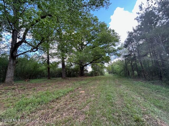 Land for sale in Tylertown, Mississippi