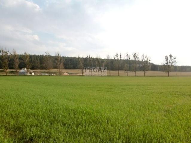 Grunt na sprzedaż w Milcz, Wielkopolskie