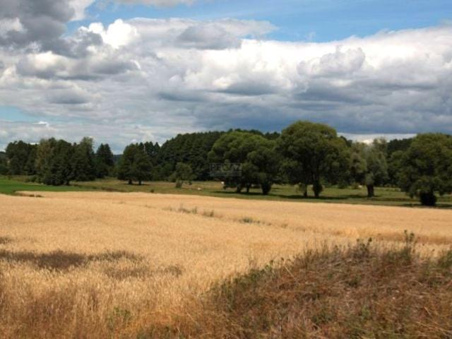 Grunt na sprzedaż w Milcz, Wielkopolskie