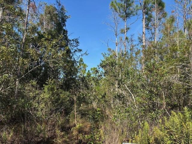 Land for sale in Saint Cloud, Florida