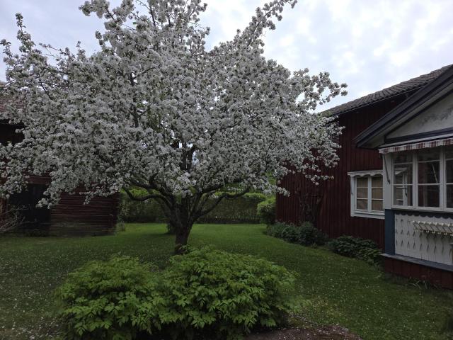 Villa till salu i Dalarna