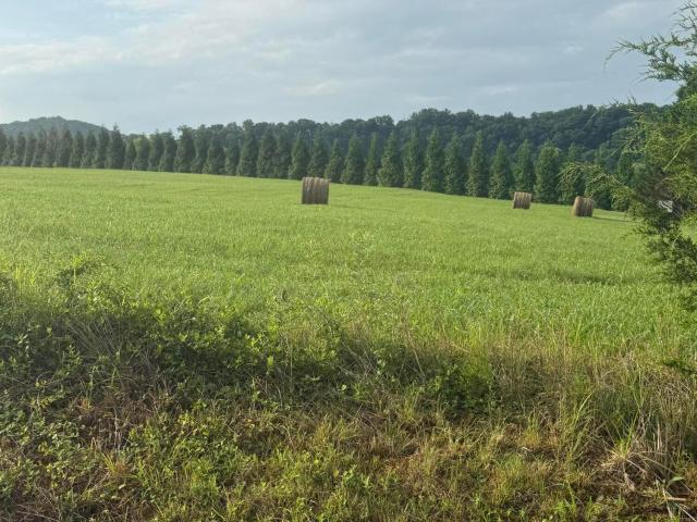 Land for sale in Tennessee