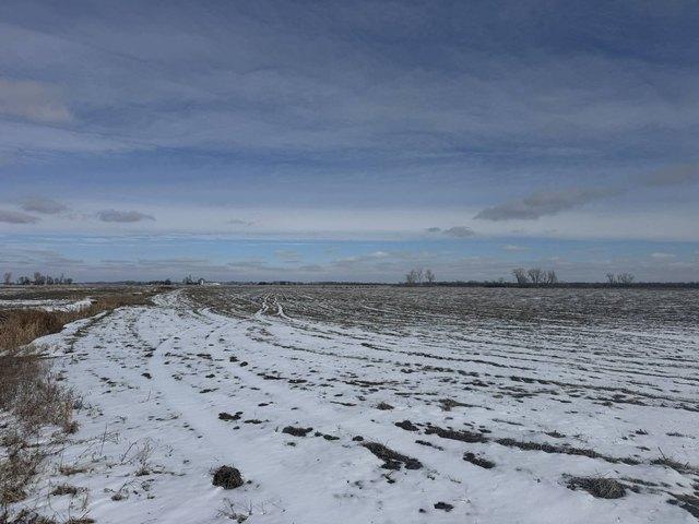Land for sale in Holt, Missouri