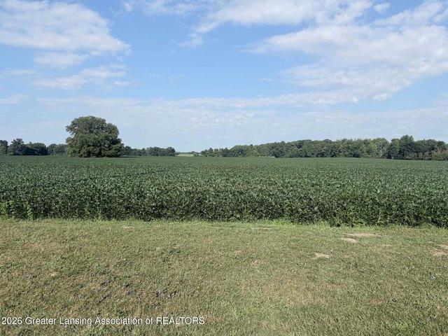 Land for sale in Eaton, Michigan
