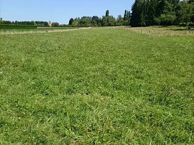 Terrain vente à Sarreguemines, Holving