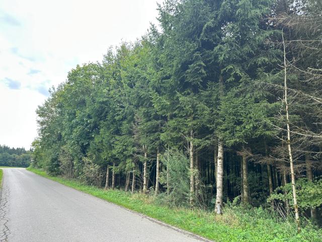 Landwirtschaft kaufen in Sulmaring, Vogtareuth