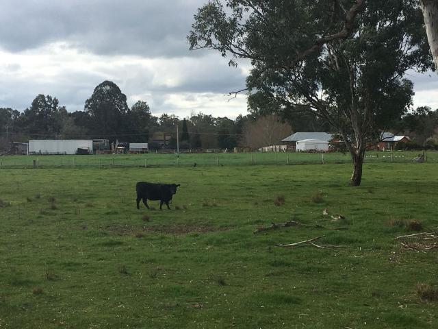 House for rent in Benalla, Victoria