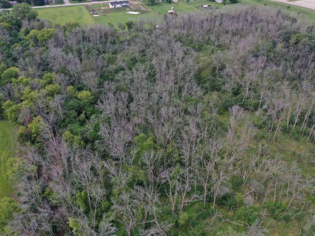 Land for sale in Waupun, Wisconsin