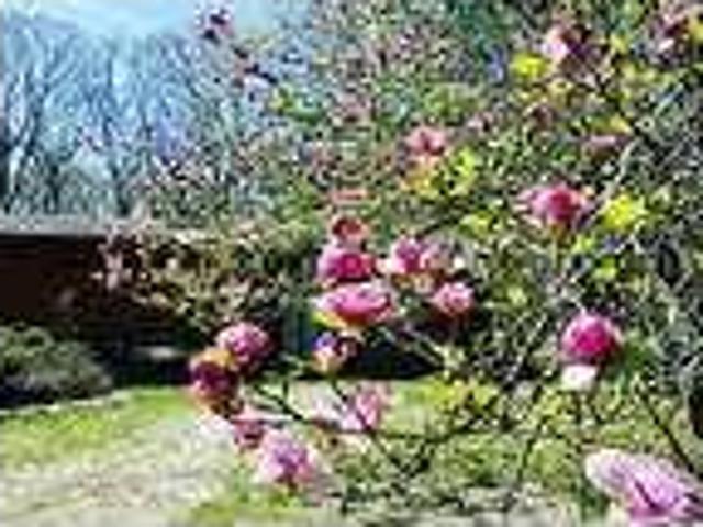 House for rent in Carlisle, Kentucky