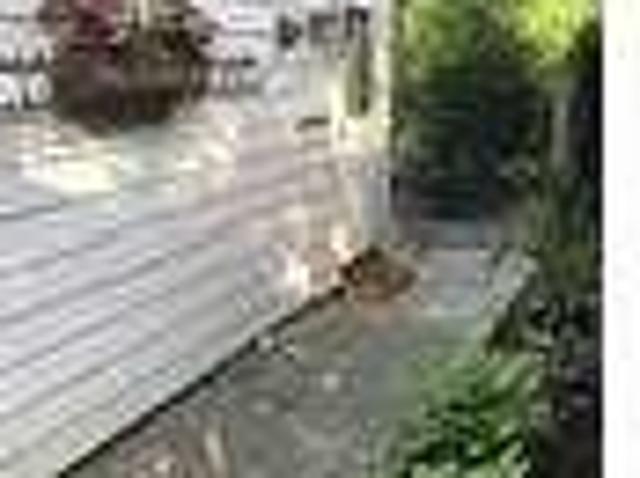 House for rent in Nassau, New York