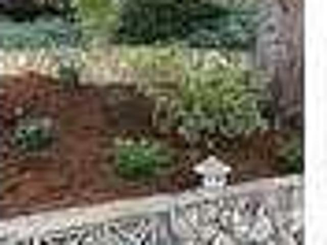 House for rent in Mill Valley, California