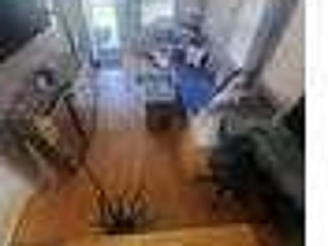 House for rent in Norridge, Cook County