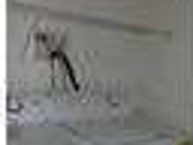 House for rent in Wappingers Falls, New York