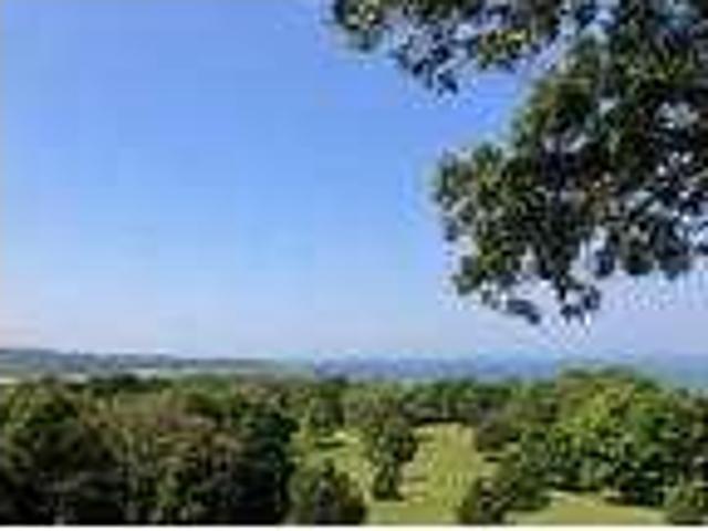 House for rent in West Tisbury, Dukes County