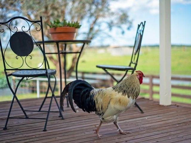 Cottage for sale in Stratford, Victoria