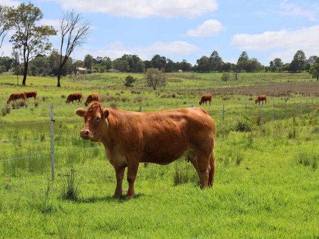 Cottage for sale in Mount Mceuen, Queensland