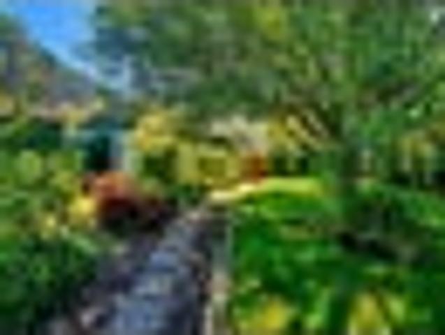 House for sale in Kawau Island