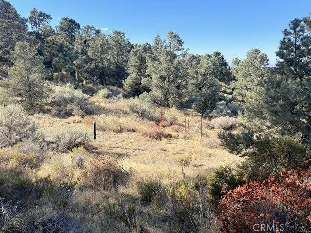 Land for sale in Piñon Hills, San Bernardino County